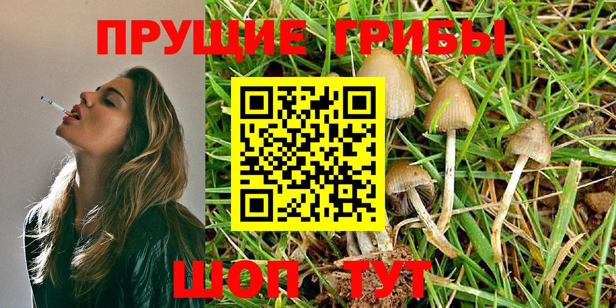 Галлюциногенные грибы Psilocybine cubensis  Галлюциногенные грибы Magic Shrooms  Вход с VPN  Назрань 